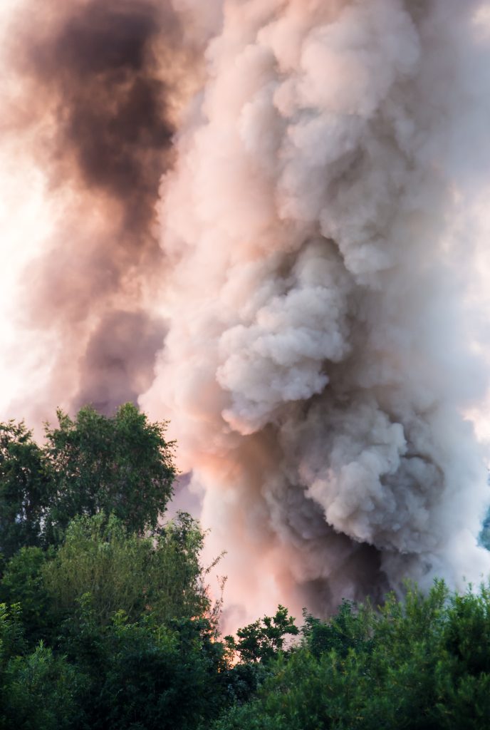 Forest burning fire with smoke